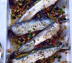 Sustainable fishing